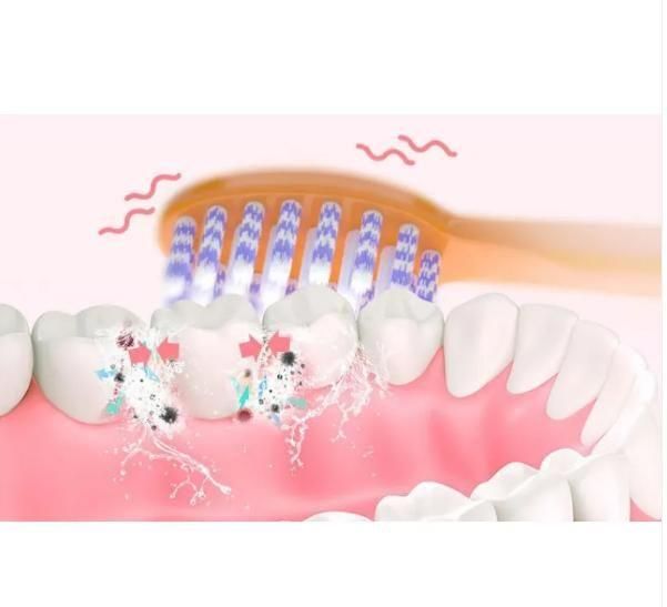 Electric Toothbrush, Teeth & Gums Care Toothbrushes Electric Toothbrush - ᴘᴜɴᴊᴀʙ ꜰᴜꜱɪᴏɴ