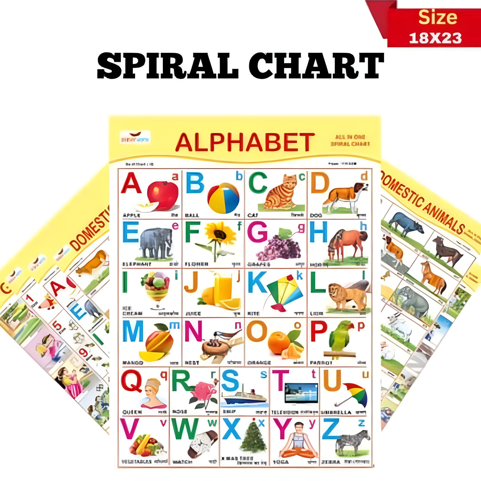 Learning Spiral Chart with ABC,
Numbers, Animals, & Shapes | Kids Educational - ᴘᴜɴᴊᴀʙ ꜰᴜꜱɪᴏɴ