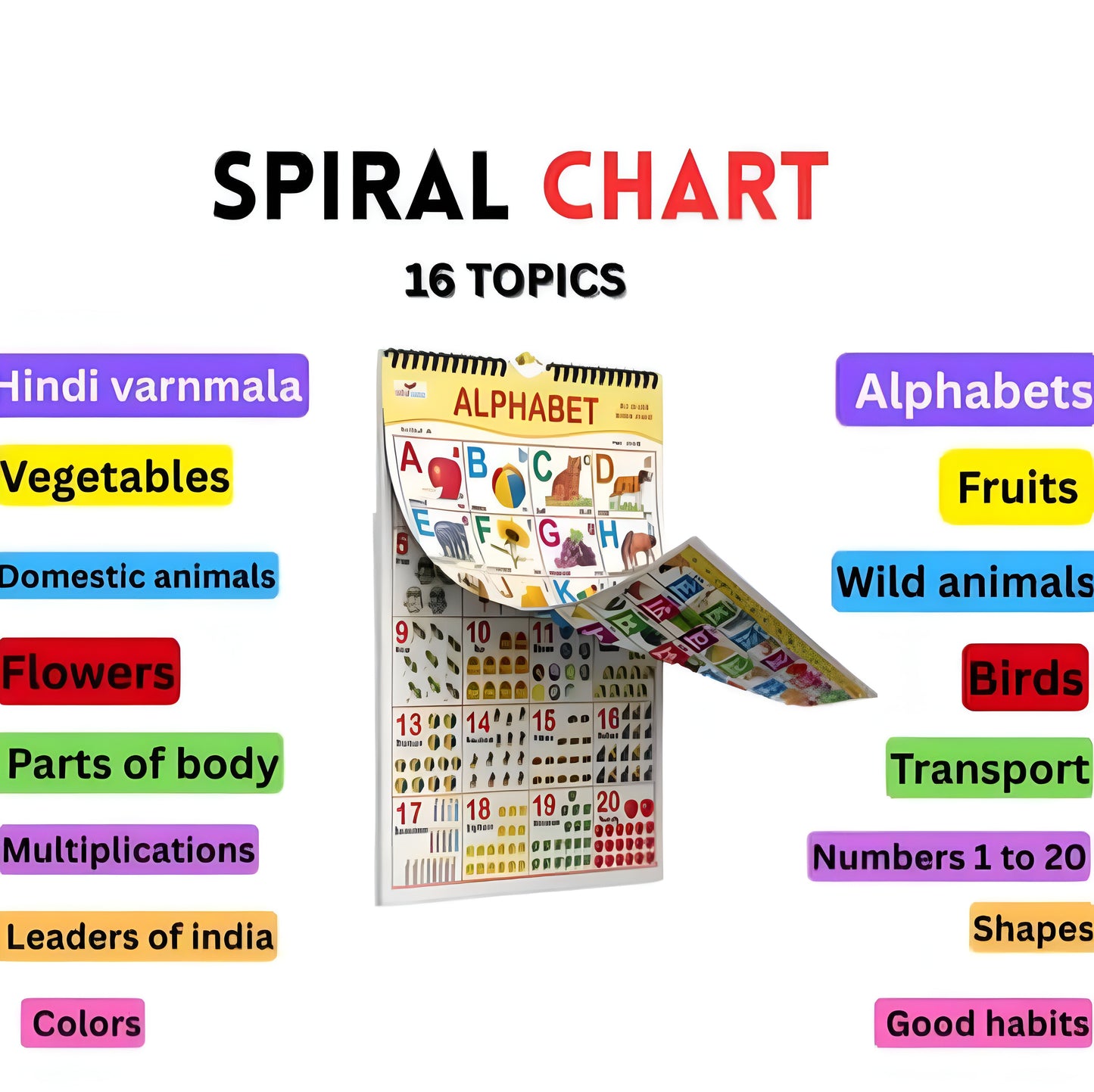 Learning Spiral Chart with ABC,
Numbers, Animals, & Shapes | Kids Educational - ᴘᴜɴᴊᴀʙ ꜰᴜꜱɪᴏɴ