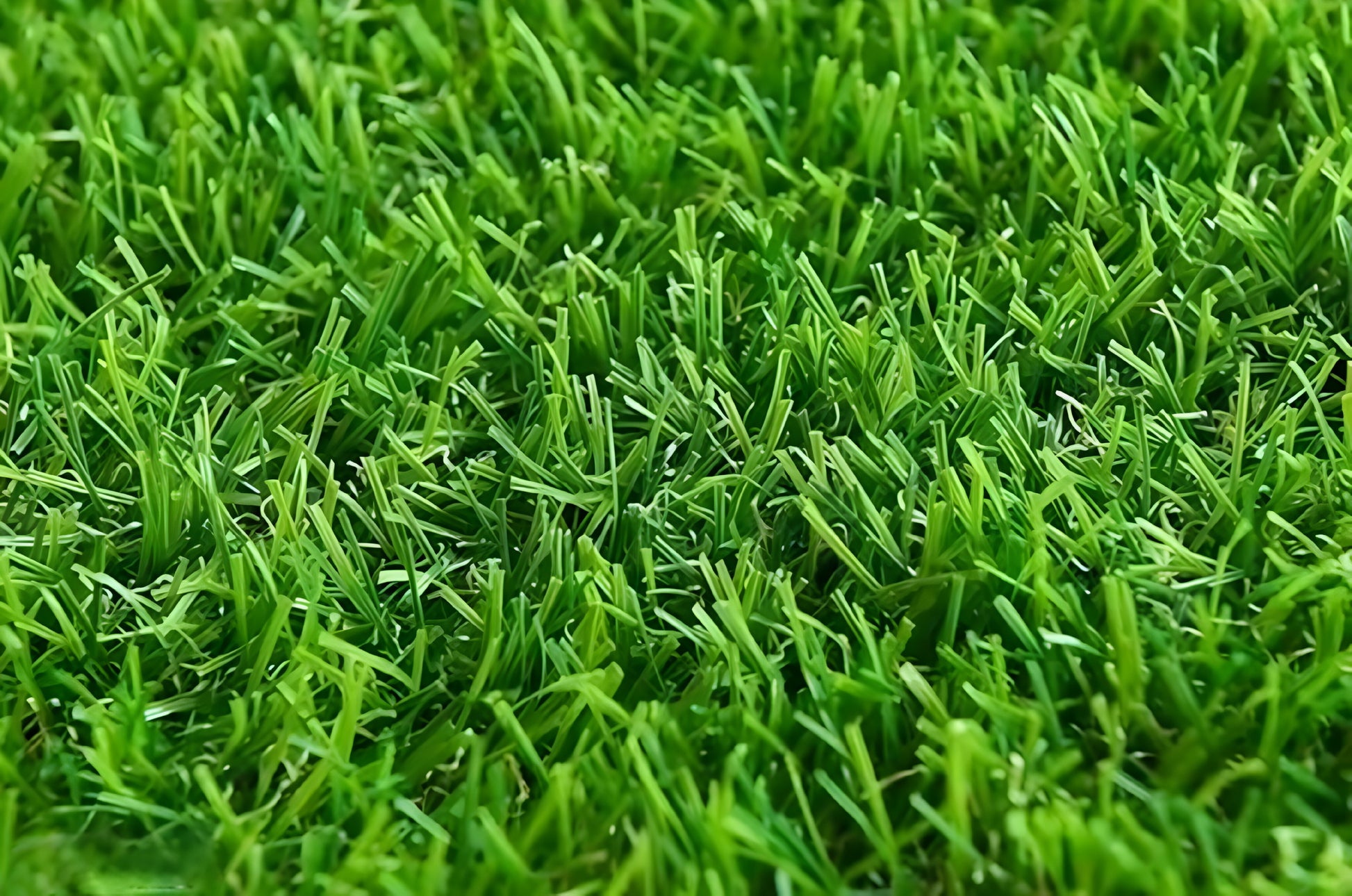 Artificial Grass for Balcony Or Doormat, Soft and Durable Plastic Turf Carpet Mat, Artificial Grass, Green, 2 Pieces - ᴘᴜɴᴊᴀʙ ꜰᴜꜱɪᴏɴ