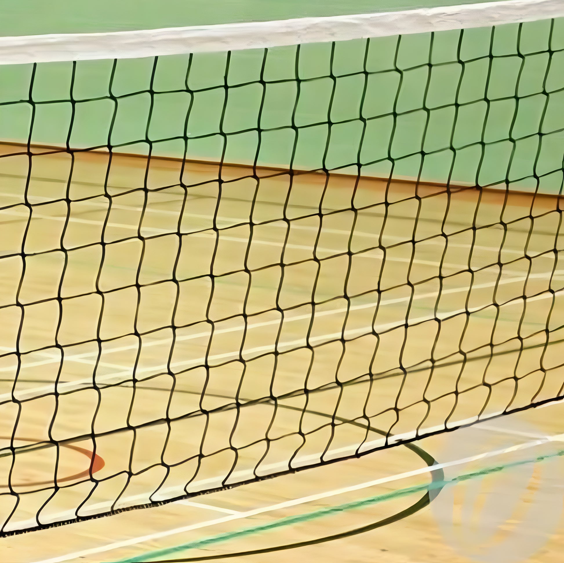 One Piece Black color Nylon Material Volleyball Net Standard Size for Sports Training Practice and Fun - ᴘᴜɴᴊᴀʙ ꜰᴜꜱɪᴏɴ